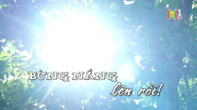 Bừng nắng lên rồi | Nhịp sống Hà Nội | 19/06/2024