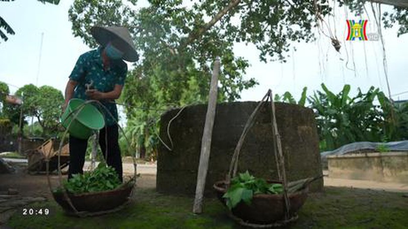 Mát trong giếng làng