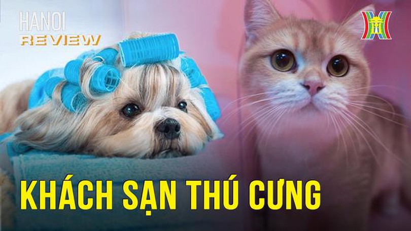 Thú cưng cũng cần đi spa, khách sạn?! | Hà Nội Reviews | 20/01/2024