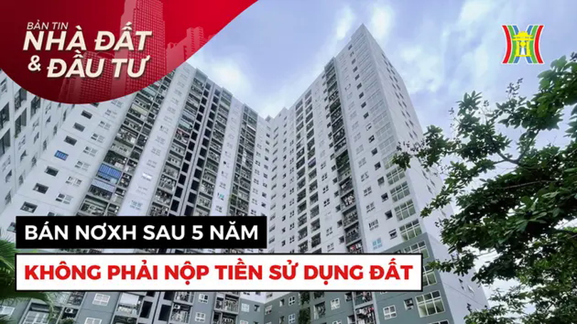 Bản tin Nhà đất và đầu tư | 20/01/2025