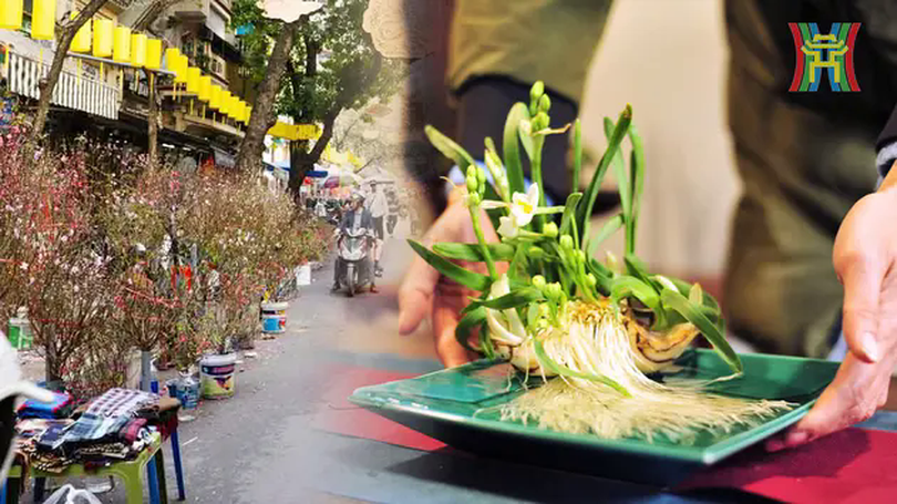 Thú chơi hoa Tết của người Hà Nội