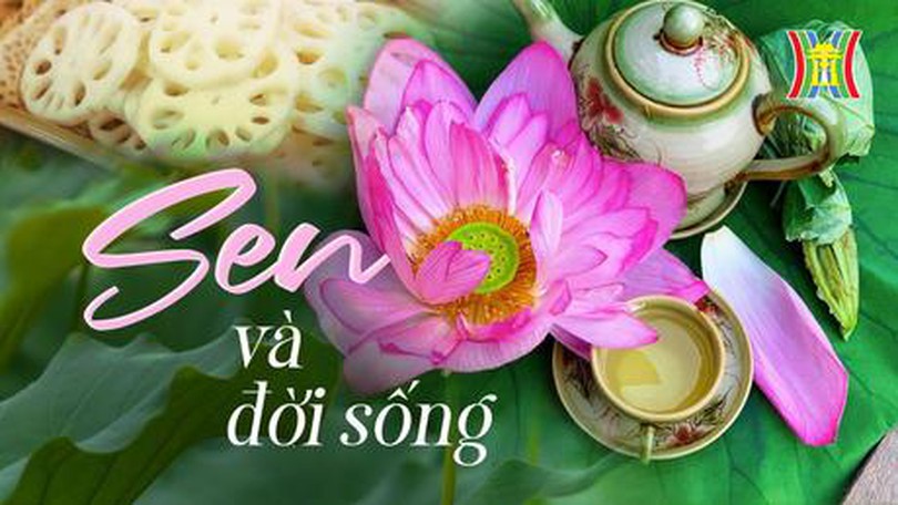 Mùa sen Hà Nội