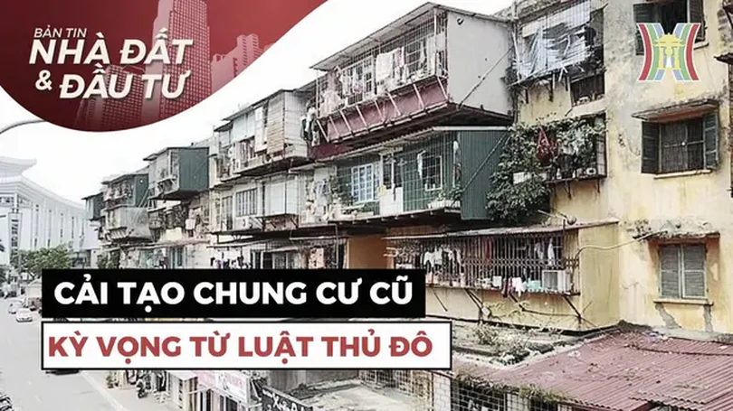 Bản tin Nhà đất và đầu tư | 20/07/2024