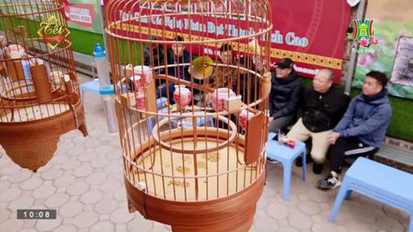 Thú chơi chim cảnh của người Hà Nội