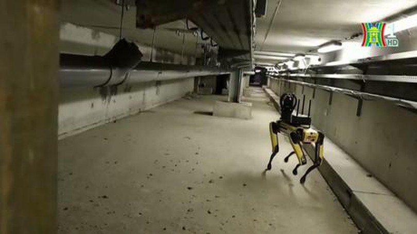 Chó robot sửa chữa hệ thống tàu điện ngầm ở Paris