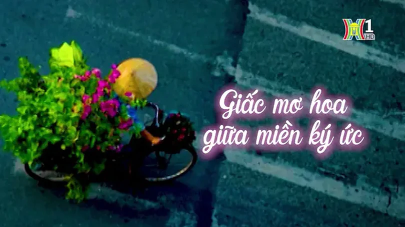 Giấc mơ hoa giữa miền ký ức