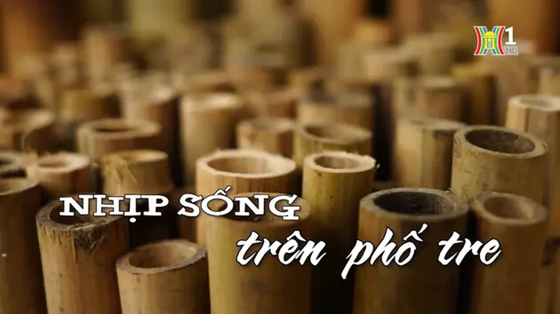 Nhịp sống trên phố tre | Nhịp sống Hà Nội | 21/06/2024