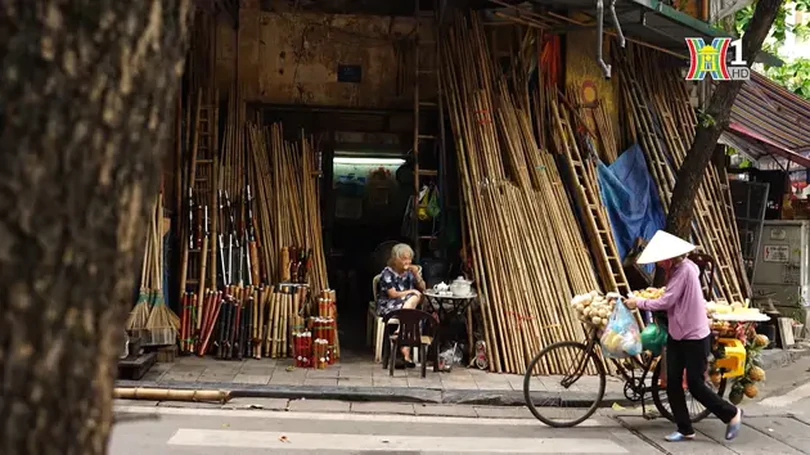 Phố tre giữa lòng khu phố cổ Hà Nội