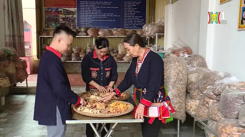 Phát triển nghề làm thuốc Nam của bà con người Dao | Nông nghiệp đô thị | 21/07/2024