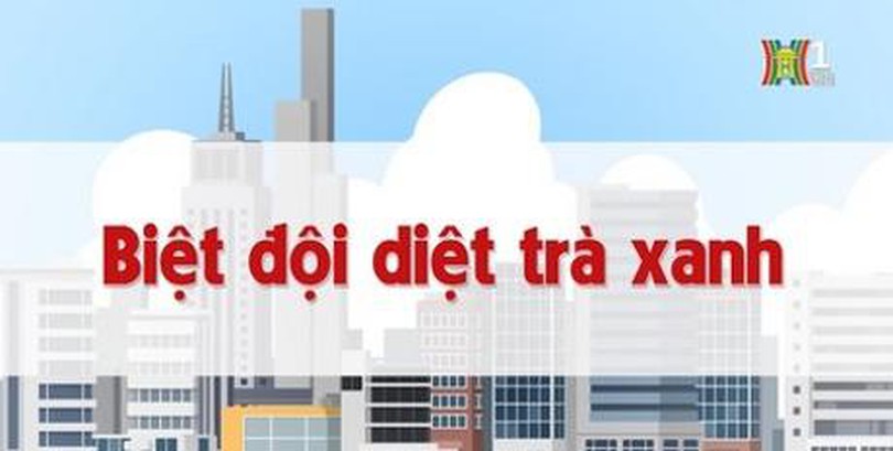 Biệt đội diệt trà xanh | Chuyện quanh ta | tập 93 | 18/08/2023