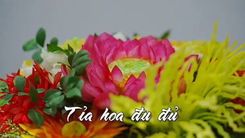 Tỉa hoa đu đủ | Nhịp sống Hà Nội | 22/02/2025