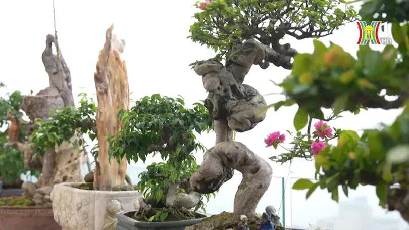 Khu vườn trên tầng thượng | Nông nghiệp Đô thị | 21/04/2024