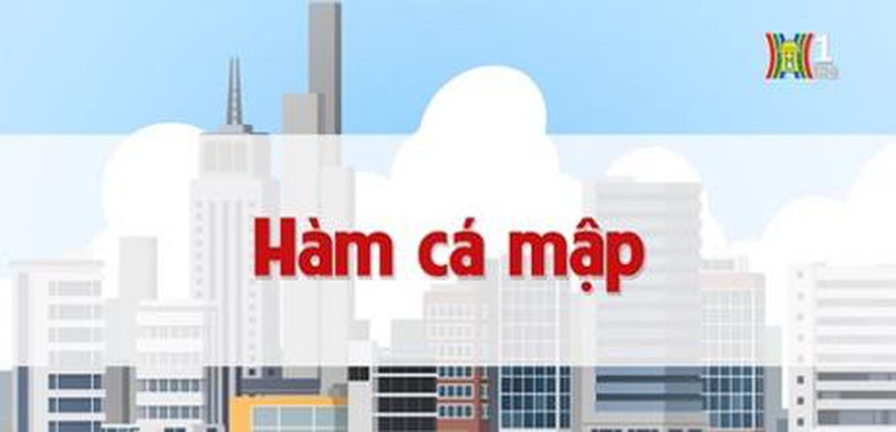 Hàm cá mập | Chuyện quanh ta | tập 99 | 21/08/2023