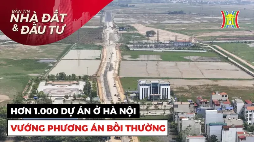Bản tin Nhà đất và đầu tư | 22/12/2024