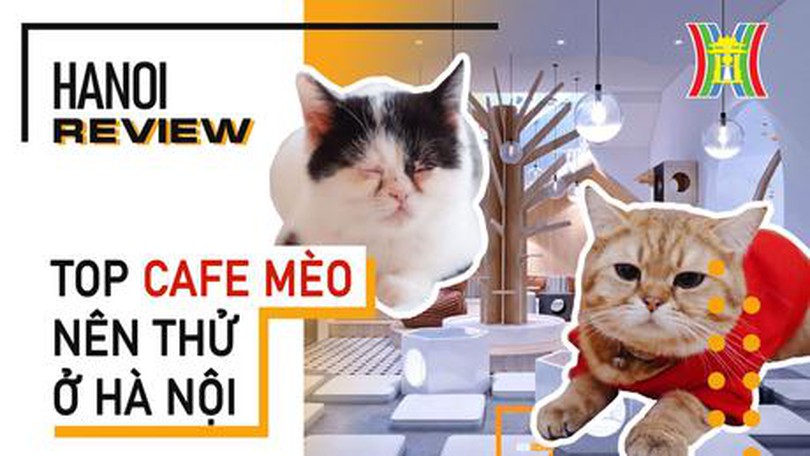 Hanoi Review (ngày 23/01/2023)