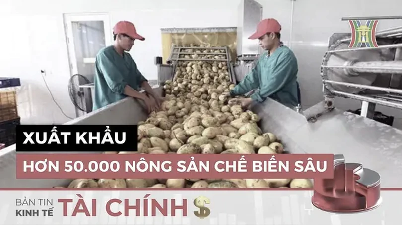 Bản tin Kinh tế Tài chính | 23/07/2024