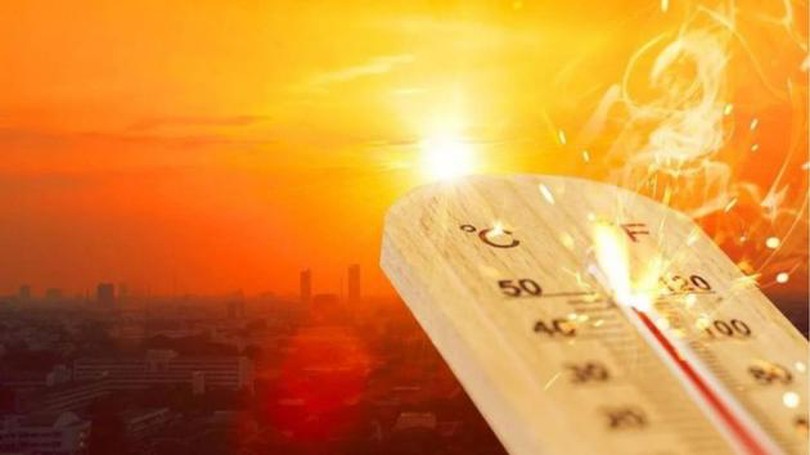 Năm nay thế giới có thể trải qua đợt nóng kỷ lục