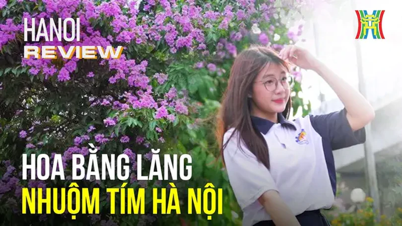 Ngắm Hà Nội lãng mạn với sắc tím hoa bằng lăng | HANOI Review | 23/05/2024