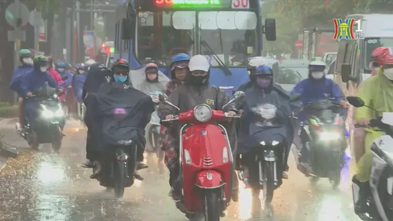 Dự báo thời tiết 24/6, Hà Nội mưa dông, trời mát