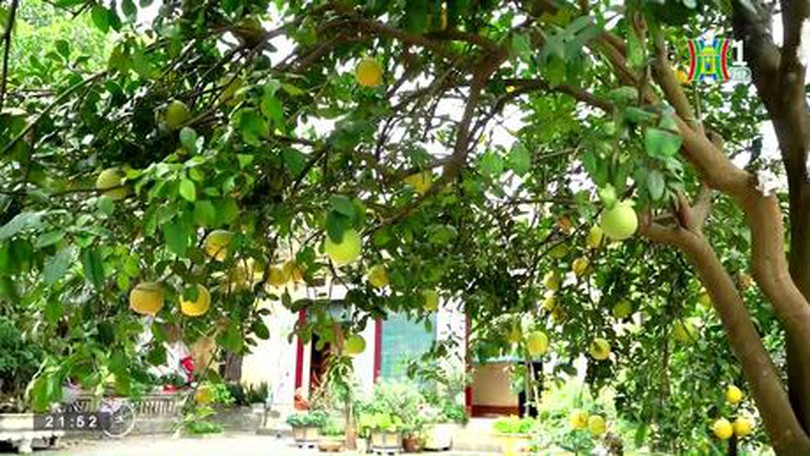 "Cuộc sống thành thị" ngày 24/12/2022