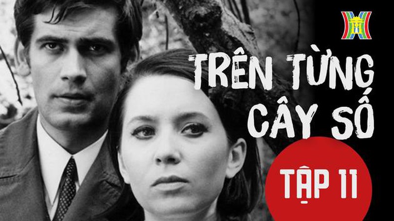 Trên từng cây số - Tập 11