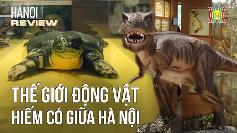 Thế giới động thực vật hiếm có giữa Hà Nội | HANOI Review | 25/05/2024