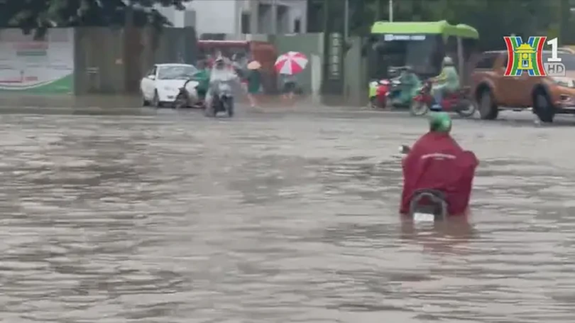 Dự báo thời tiết 25/6, Hà Nội có mưa lớn
