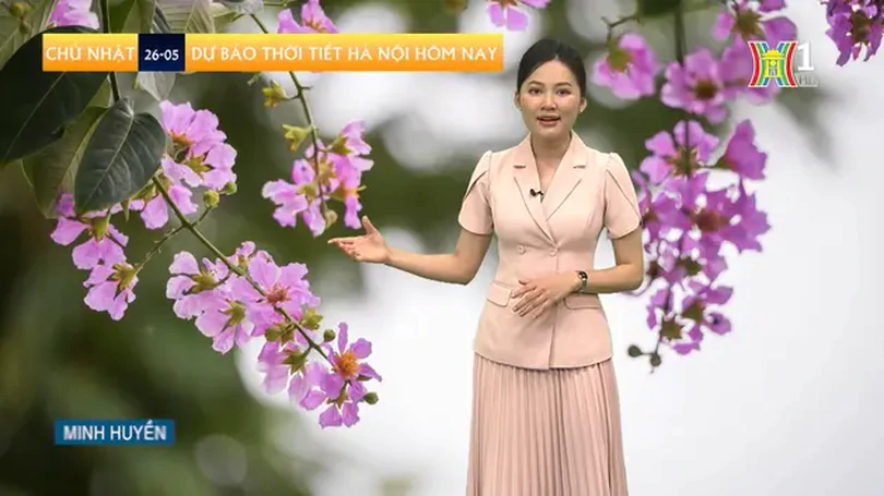 Dự báo thời tiết | 26/05/2024