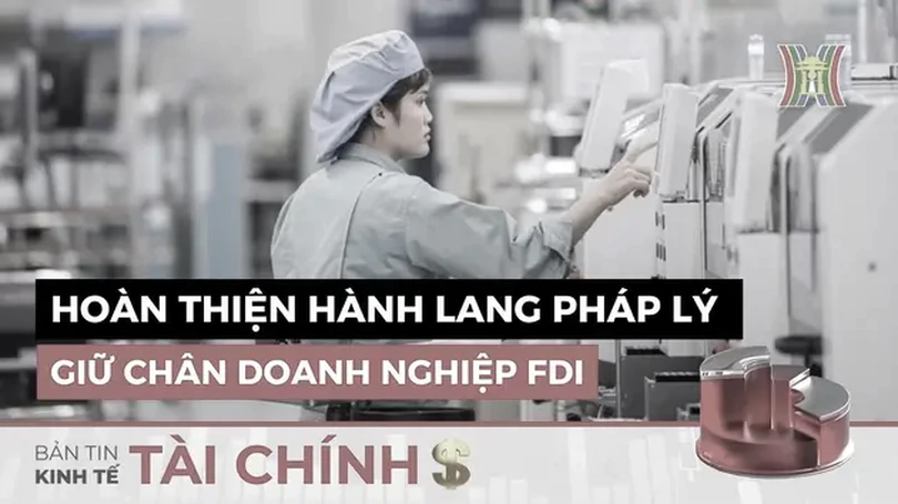 Bản tin Kinh tế Tài chính | 26/07/2024