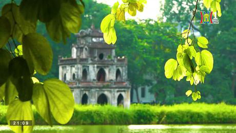 Âm thanh và tiếng ồn đô thị| Cuộc sống thành thị| 26/8/2023