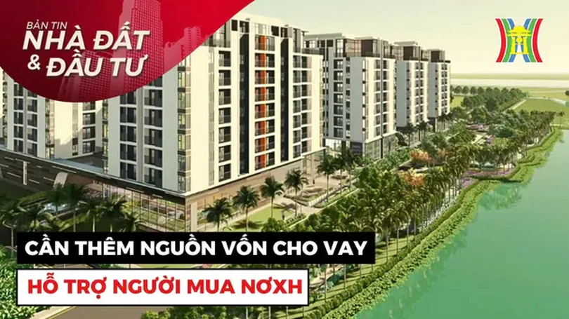 Bản tin Nhà đất và đầu tư | 26/10/2024