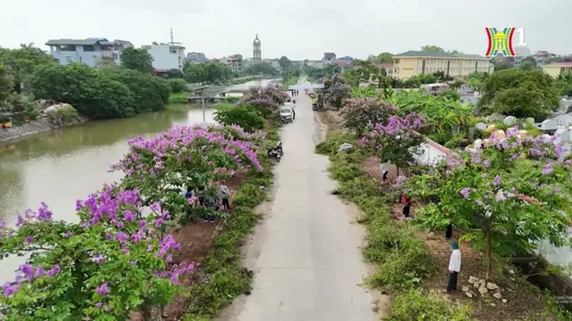 Con đường hoa và niềm vui của nữ đại úy trẻ | Người tốt quanh ta | 28/05/2024