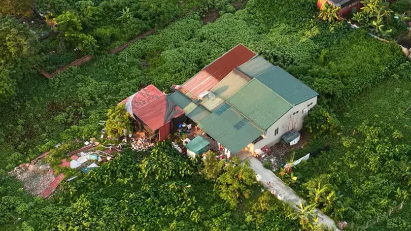 Cần mạnh tay xử lý vi phạm TTXD trên đất nông nghiệp