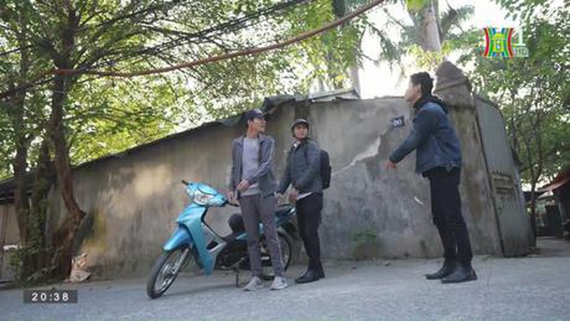 Series sitcom: Người làm chứng