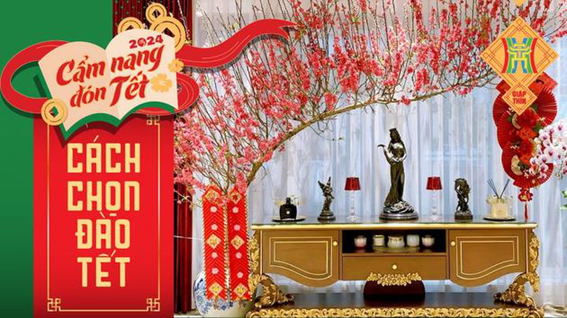 Bí quyết chọn cành đào Tết đẹp đón tài lộc vào nhà