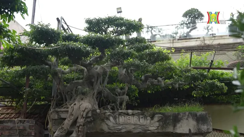 Không gian dưới chân cầu Thăng Long | Nông nghiệp đô thị | 28/04/2024