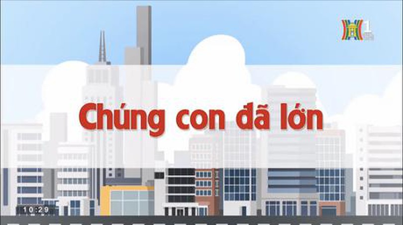 Chúng con đã lớn | Chuyện quanh ta | 05/06/2023