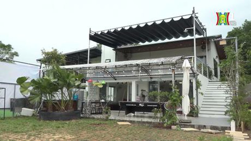 Giấc mộng Homestay| Cuộc sống thành thị| 29/10/2023
