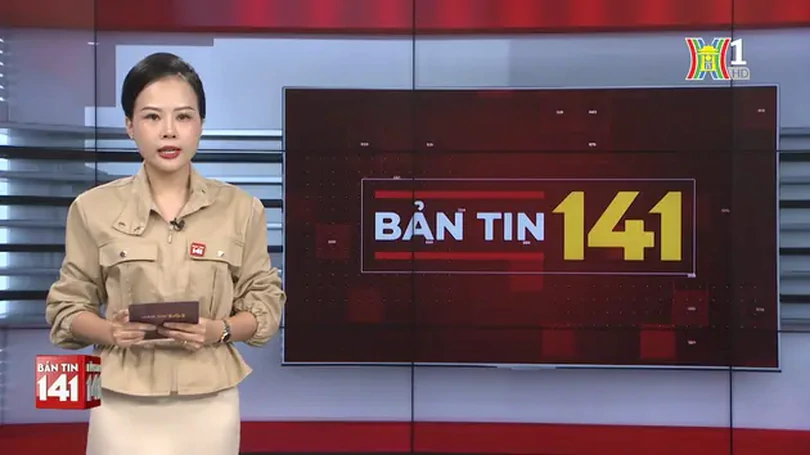 Bản tin 141 | 31/08/2024