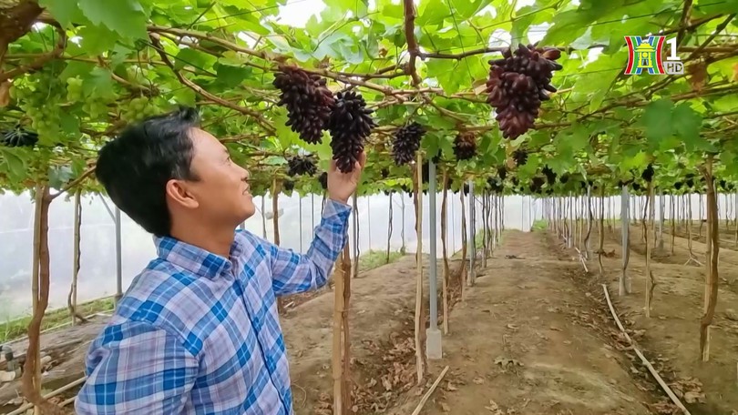 Hợp tác giảm phát thải, hướng tới net zero | Thủ đô và thế giới | 21/04/2025