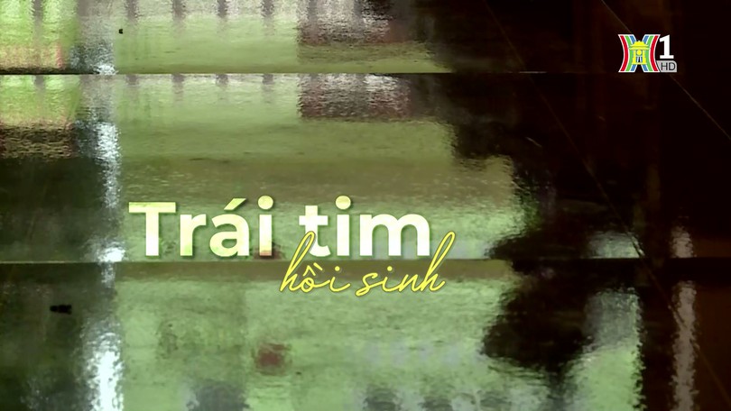 Trái tim hồi sinh