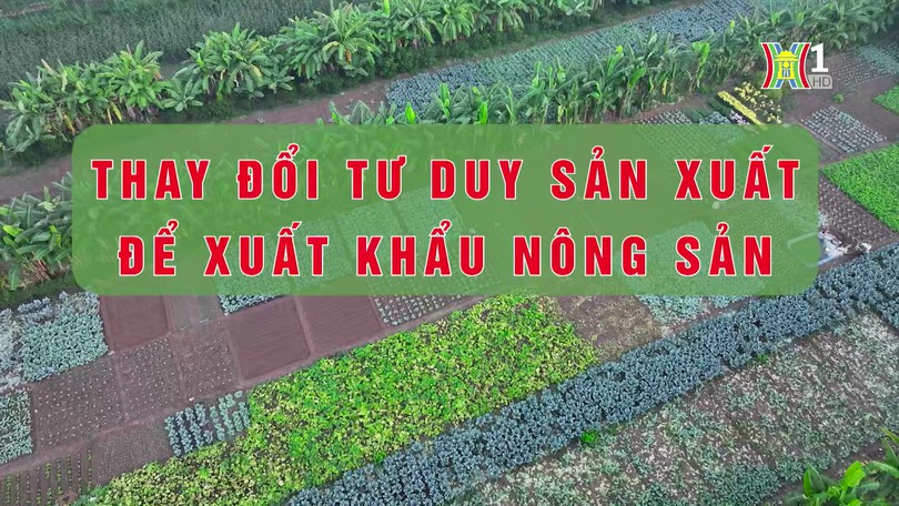 Đưa nông sản Việt Nam vào Pháp | Thủ đô và thế giới | 10/08/2024