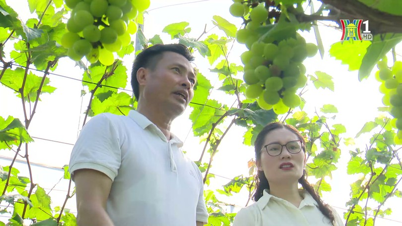 Phát triển nông nghiệp sinh thái- câu chuyện từ Pháp | Thủ đô và thế giới | 28/04/2025