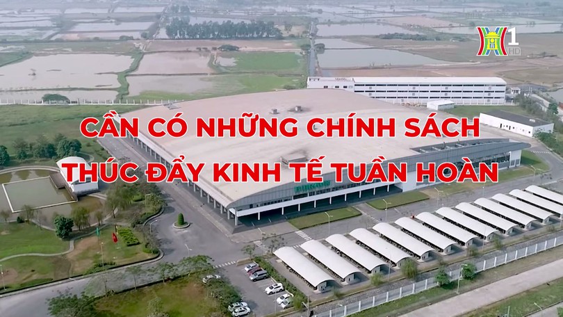 Tạo động lực phát triển kinh tế tuần hoàn | Thủ đô và thế giới | 13/07/2024
