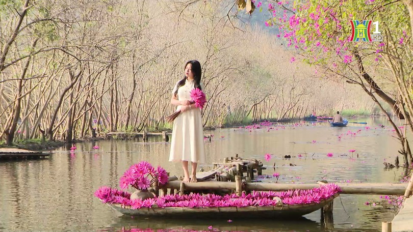 Suối Yến mùa hoa súng