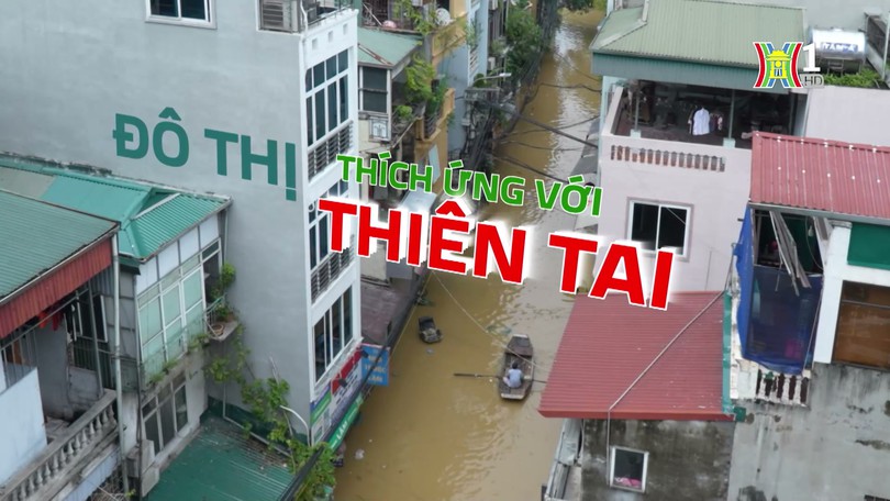 Đô thị thích ứng với thiên tai | Cuộc sống thành thị | 16/10/2024