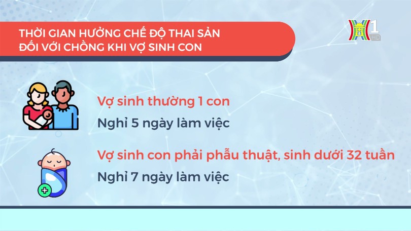 Chế độ thai sản với lao động nữ | An sinh cuộc sống | 22/09/2024
