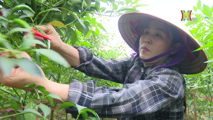Chương trình 04 - thành quả nông thôn mới hiện hữu | Đảng trong cuộc sống | 22/07/2024
