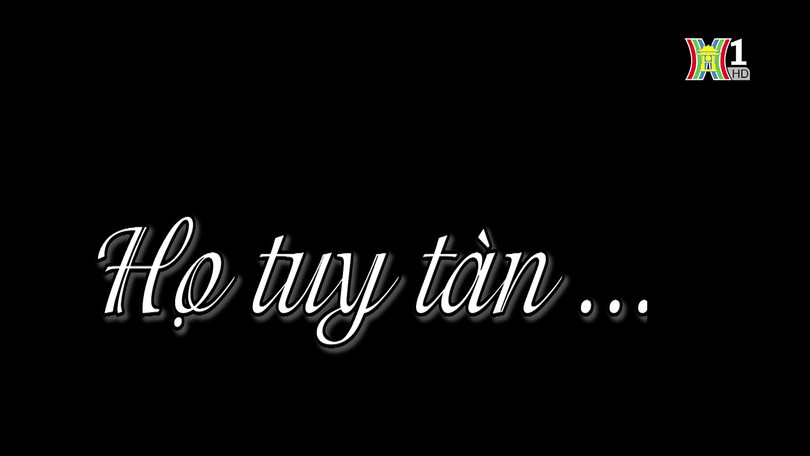 Họ tuy tàn...