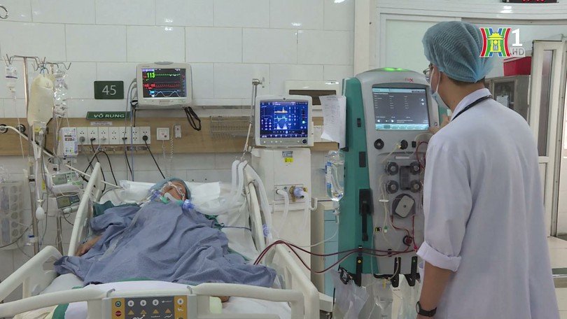 Cảnh báo ngộ độc từ nấm rừng | Sức khỏe cộng đồng | 26/04/2025